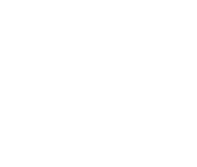 logo-conycit