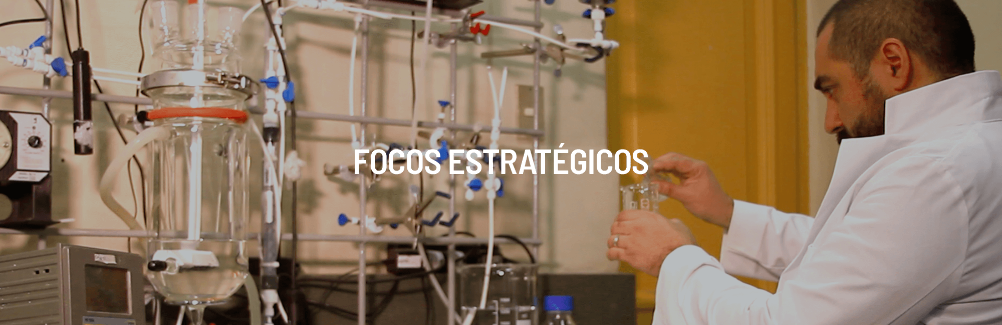 banner-focos-estrategicos